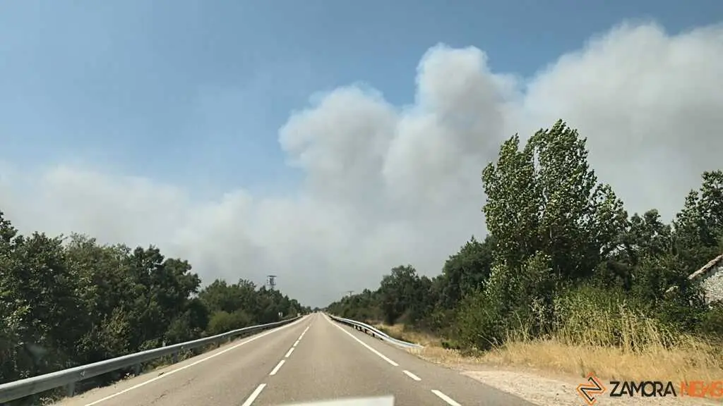 Incendio Fermoselle 