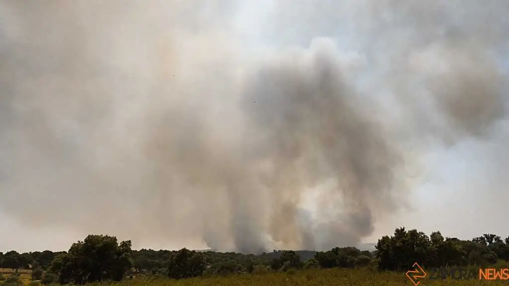 Incendio Fermoselle _10