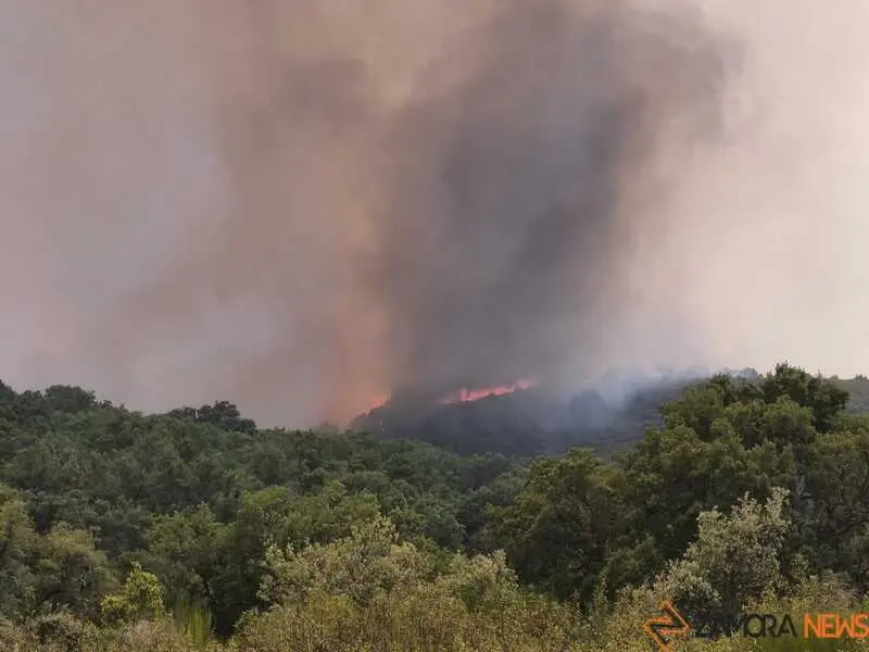 incendio Fermoselle _2