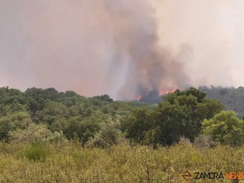 incendio Fermoselle _3