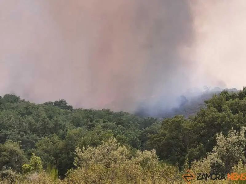 incendio Fermoselle _4