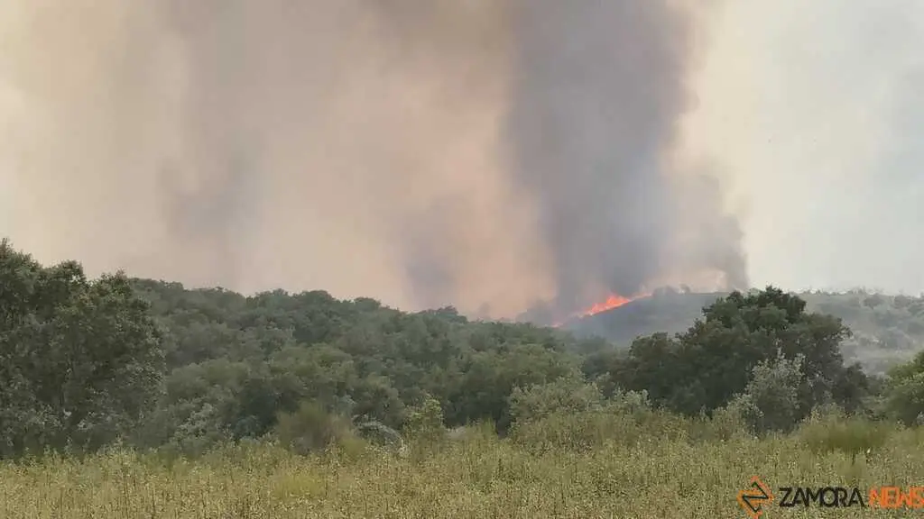 incendio Fermoselle _6