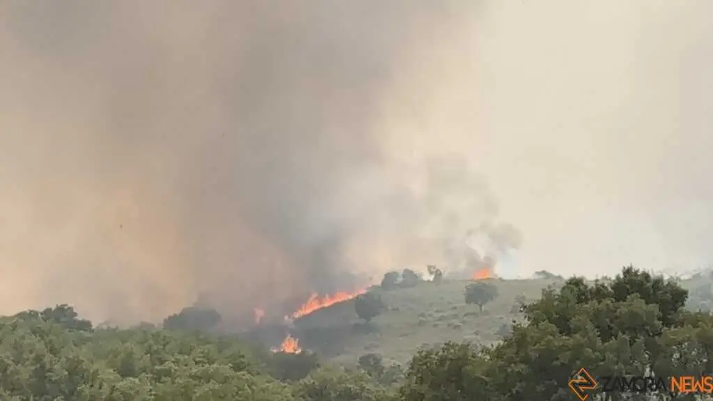 incendio Fermoselle _9