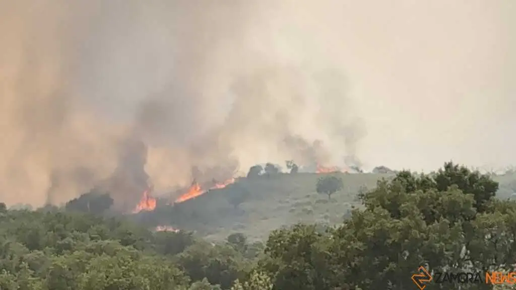 incendio Fermoselle _11