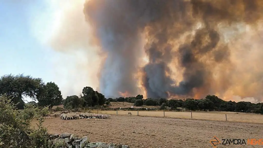 incendio Fermoselle _3