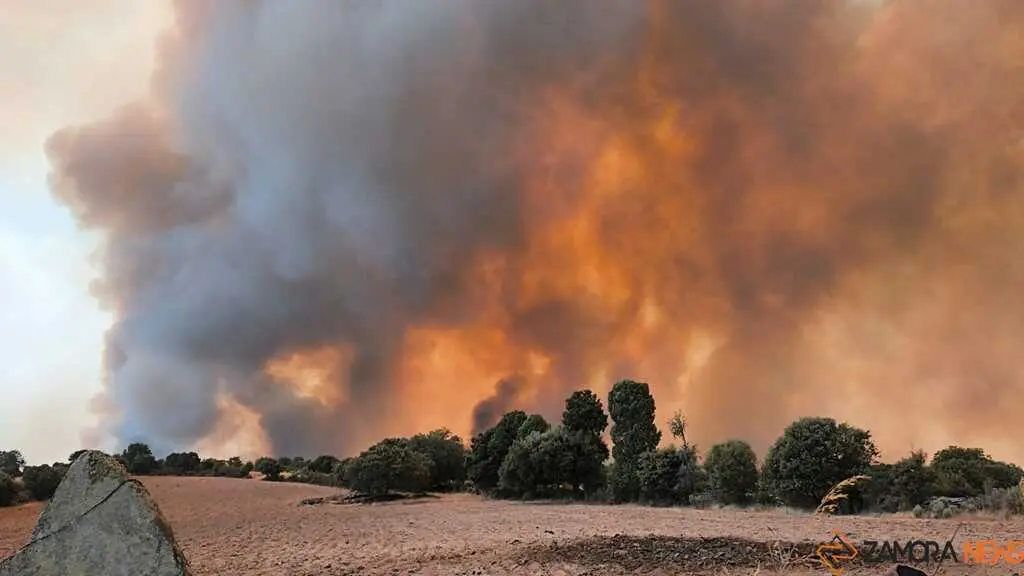 incendio Fermoselle _4