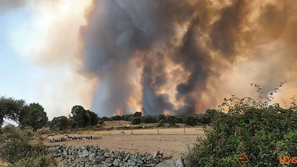 incendio Fermoselle _2