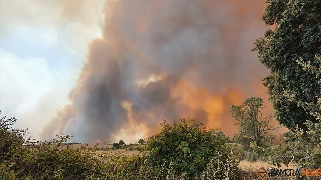 incendio Fermoselle _5