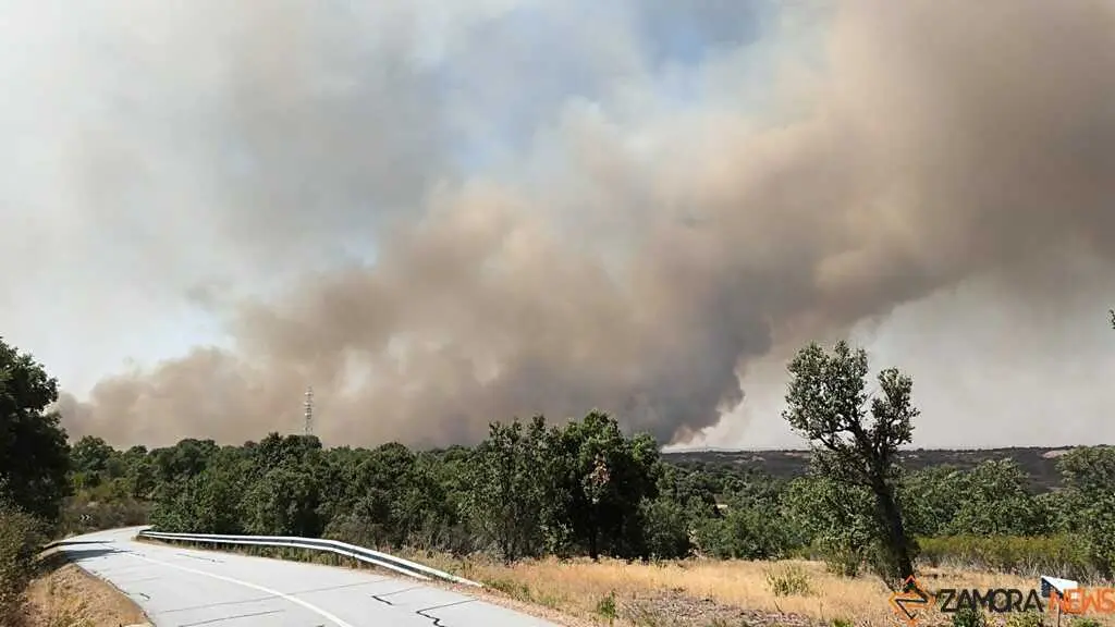 incendio Fermoselle _10