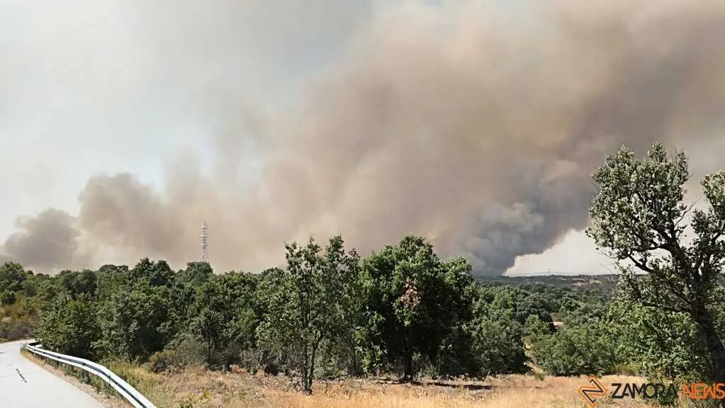 incendio Fermoselle _11