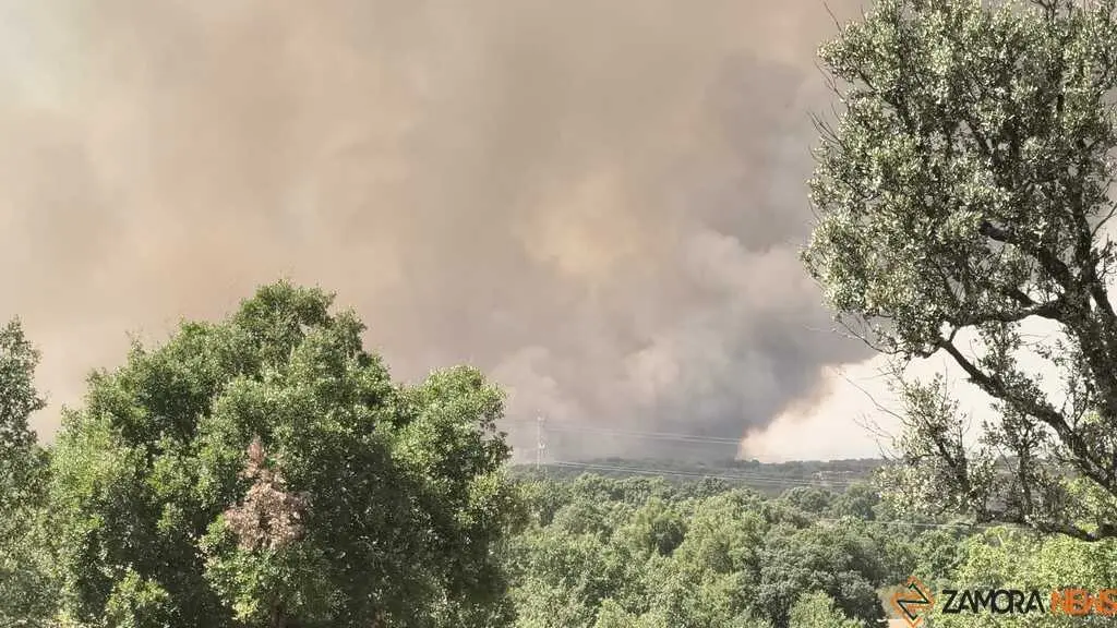 incendio Fermoselle _12
