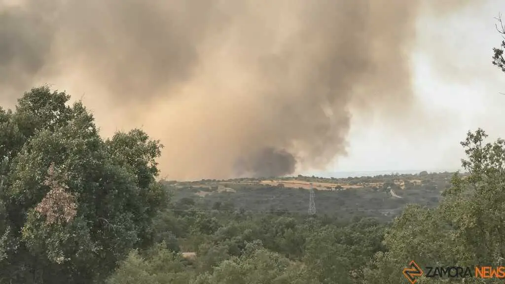 incendio Fermoselle _17