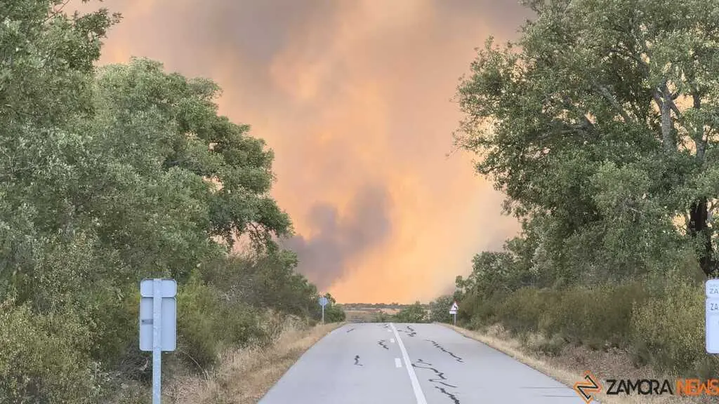 incendio Fermoselle _19