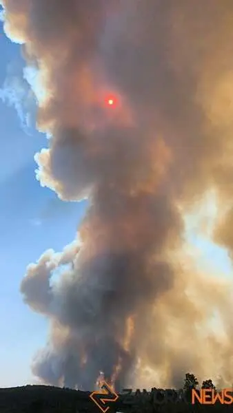 incendio Fermoselle _20