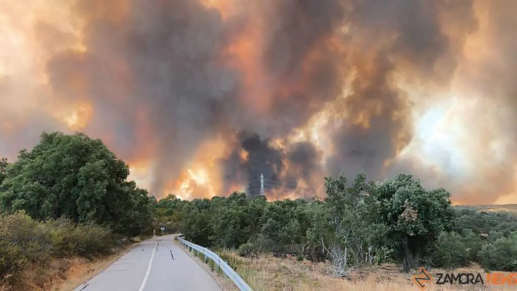 incendio Fermoselle _28