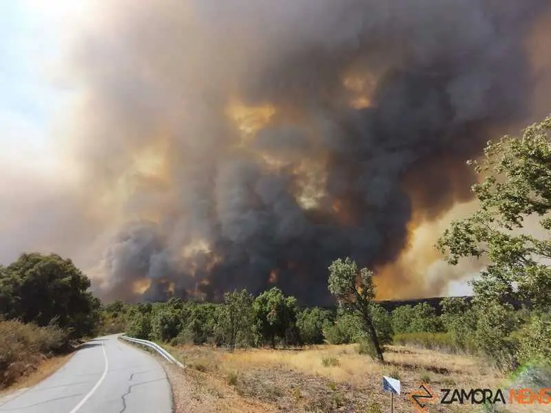 Intensa columna de humo por el fuego de Fermoselle