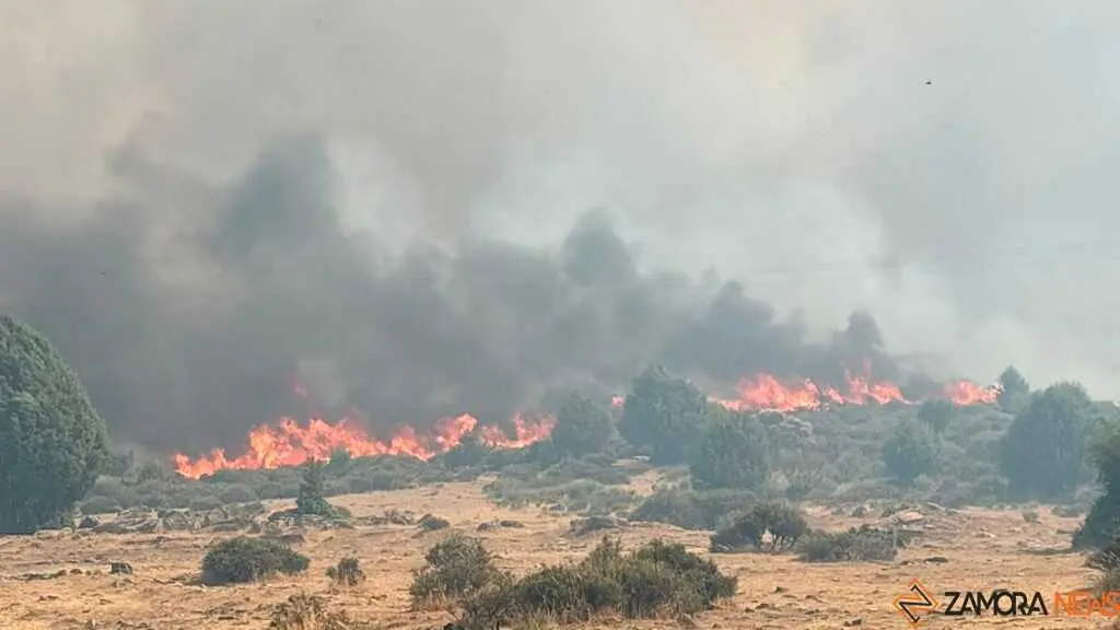 incendio Fermoselle _5