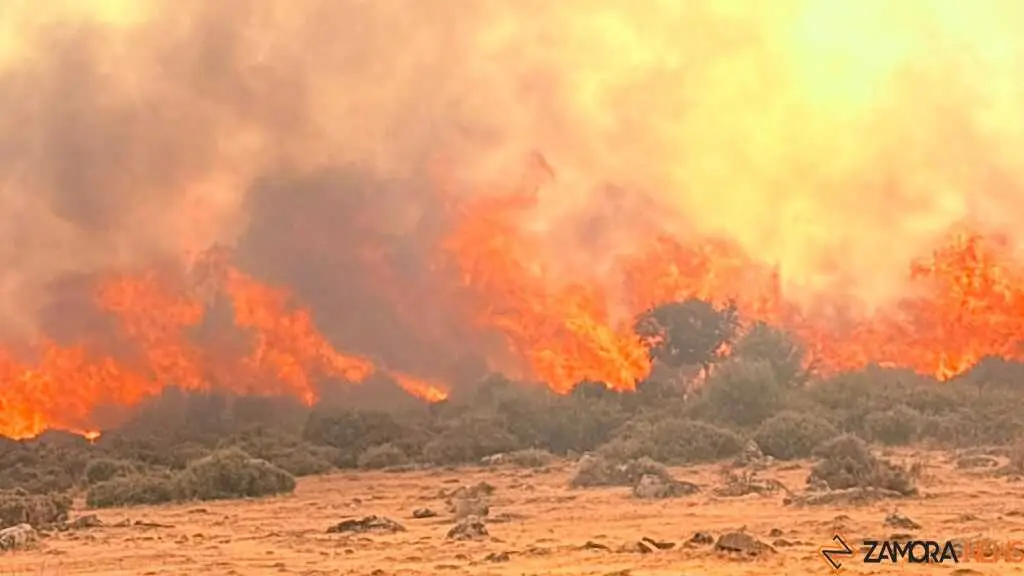 incendio Fermoselle _8