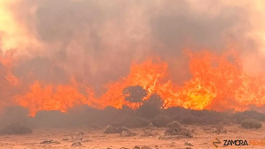 incendio Fermoselle _9