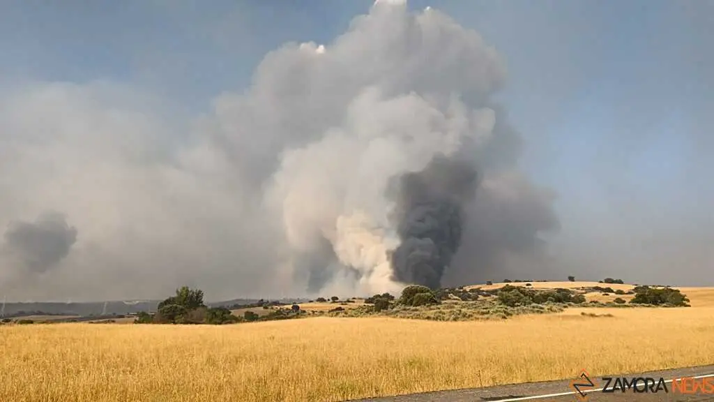 Incendio Fermoselle 