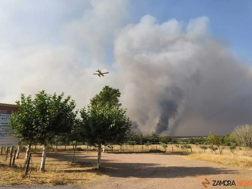 Incendio Fermoselle _4