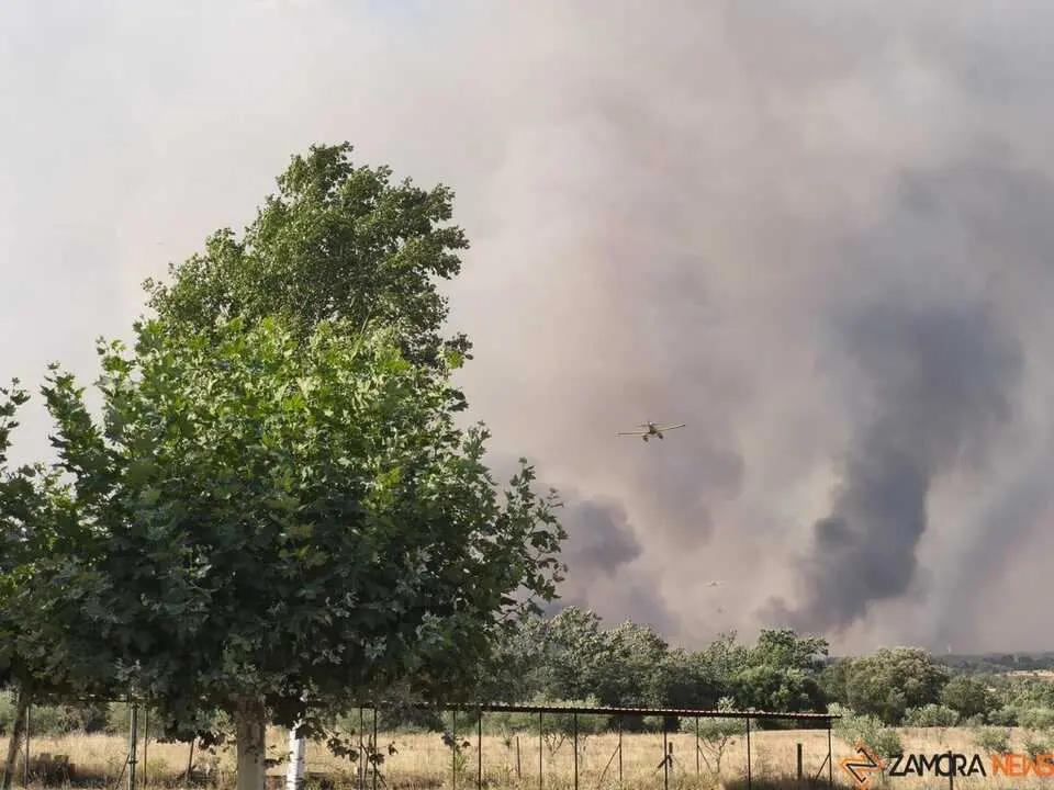 Incendio Fermoselle _6