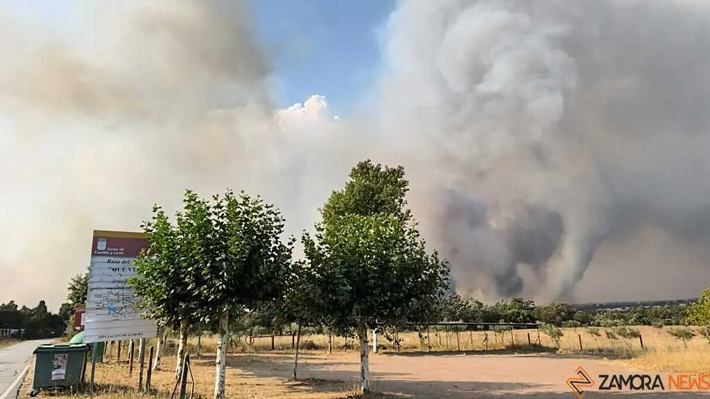 Incendio Fermoselle _7