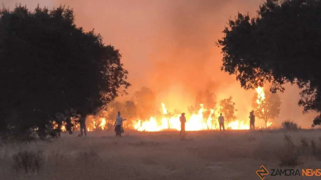 incendio Fermoselle _9