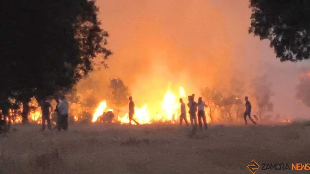 incendio Fermoselle _10