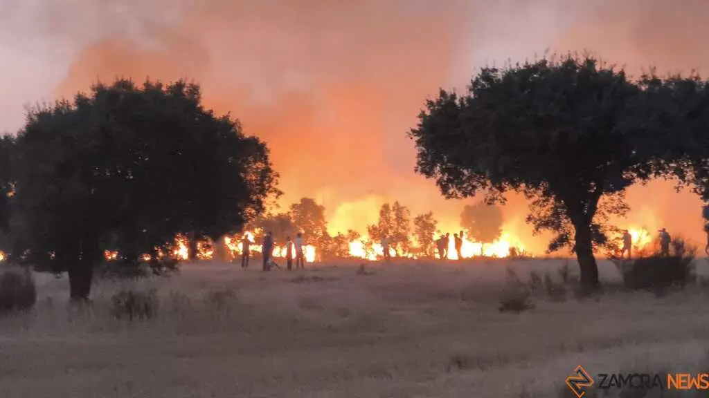 incendio Fermoselle _11