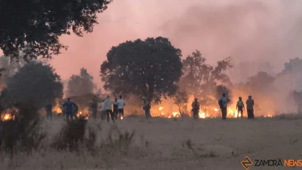 incendio Fermoselle _12