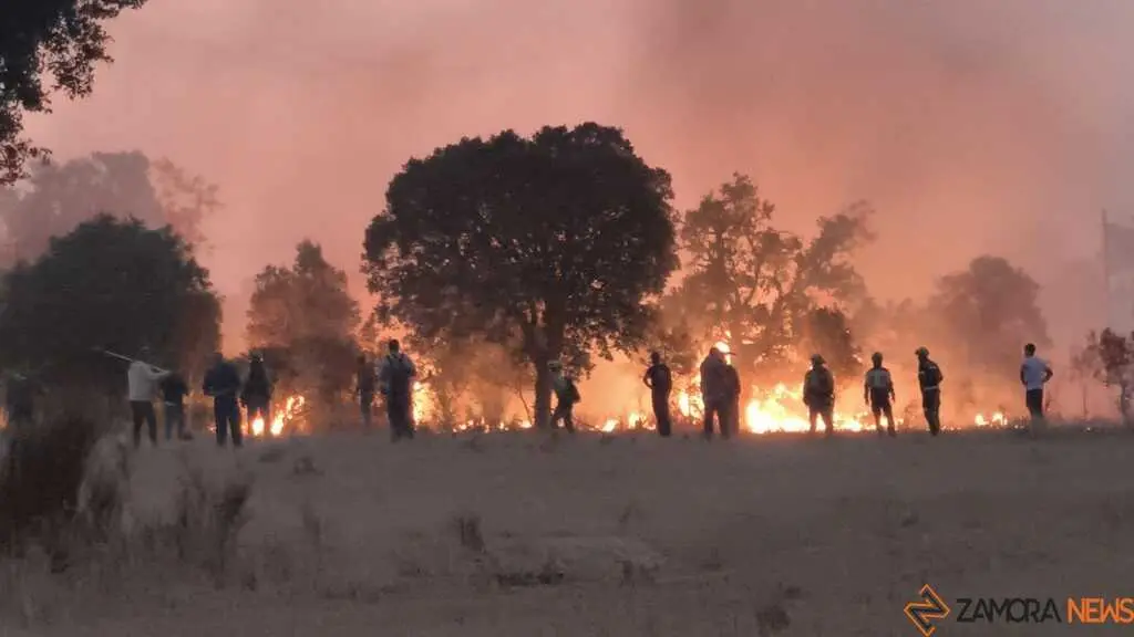 incendio Fermoselle _13
