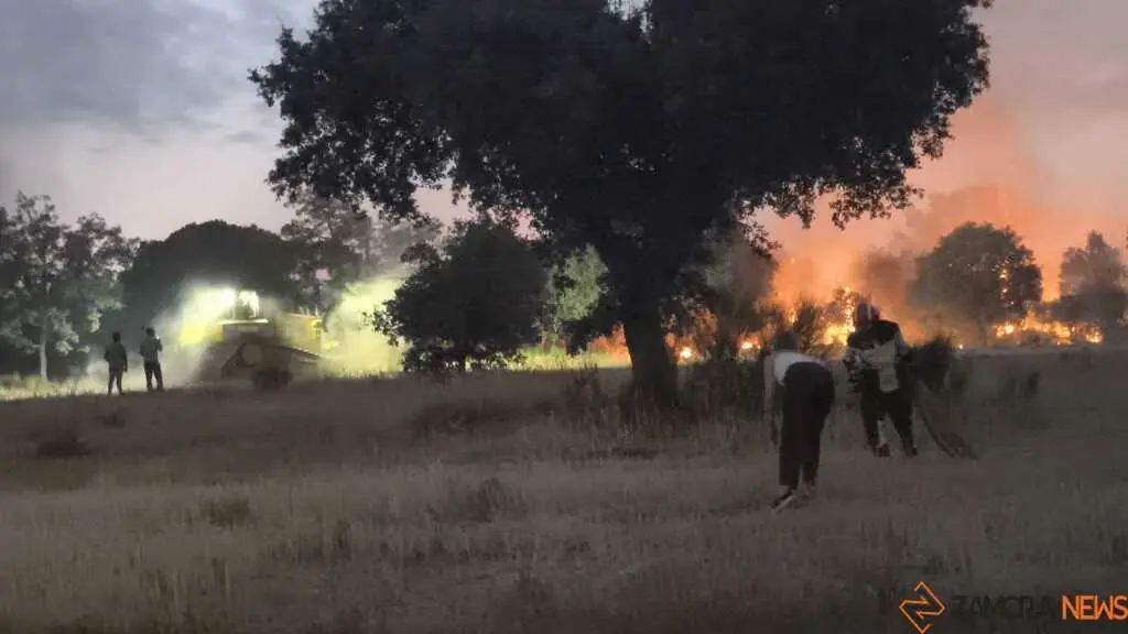 incendio Fermoselle _19