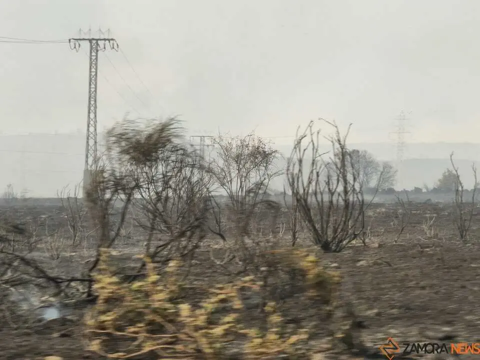 FERMOSELLE FUEGO SAYAGO _9