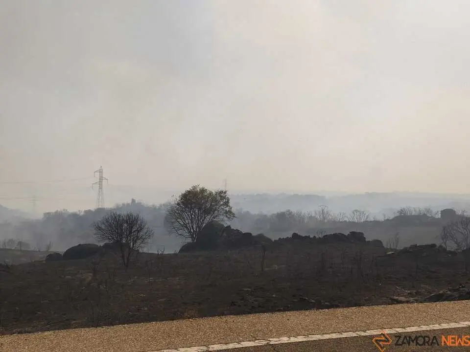 FERMOSELLE FUEGO SAYAGO _14