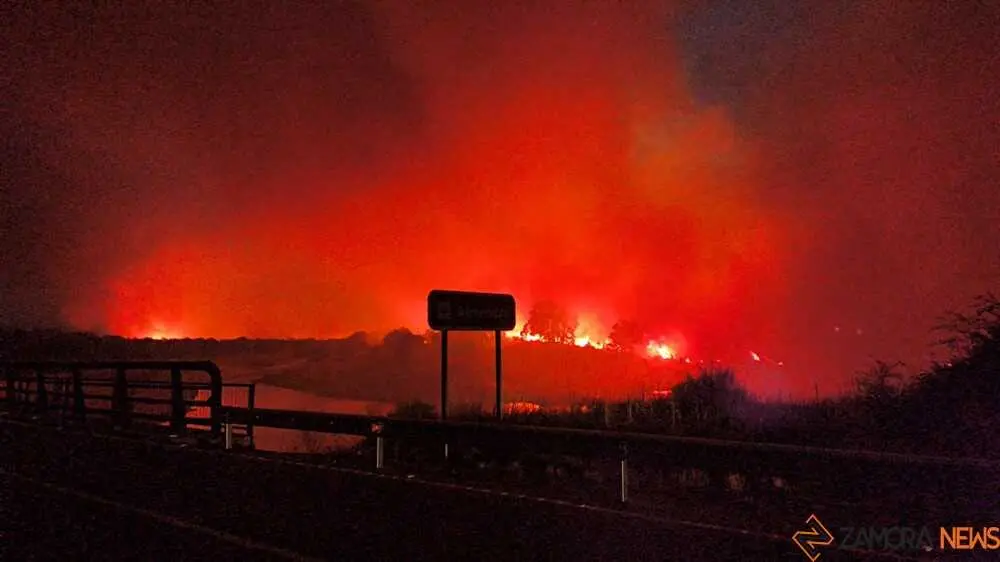 FERMOSELLE FUEGO SAYAGO _16