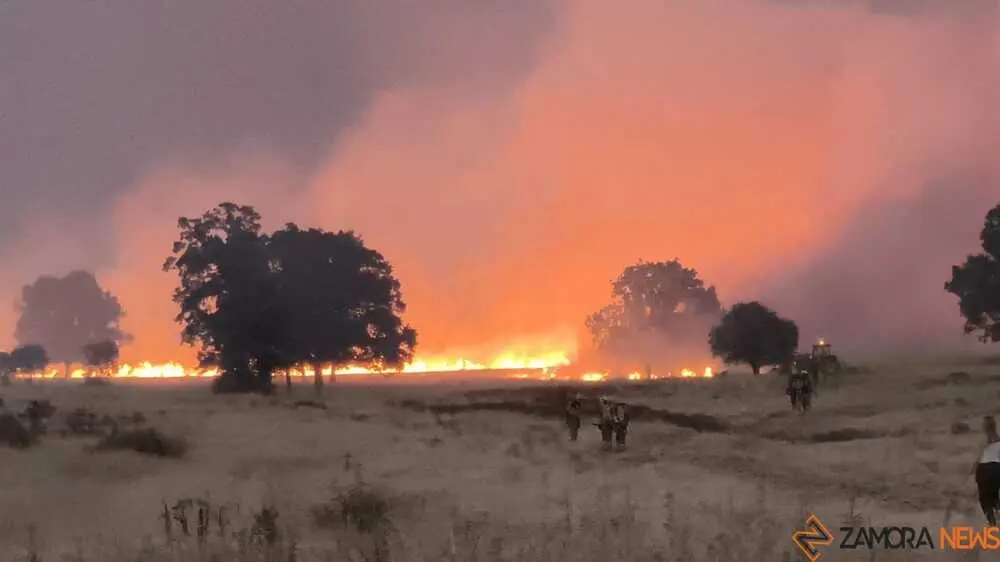 FERMOSELLE FUEGO SAYAGO _27