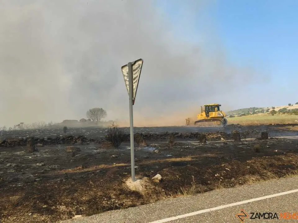 FERMOSELLE FUEGO SAYAGO _30