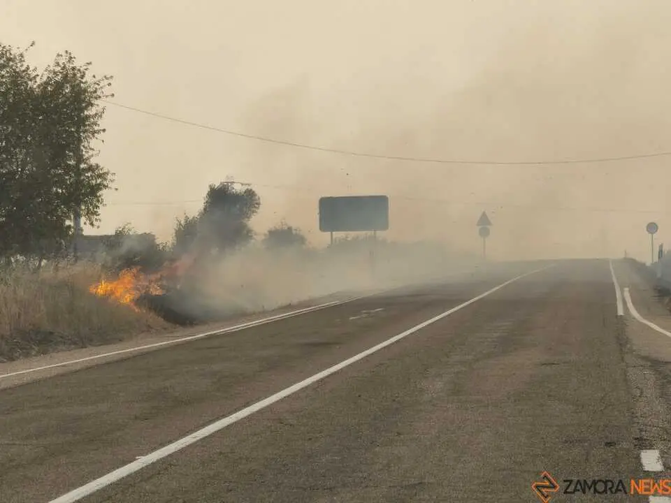 FERMOSELLE FUEGO SAYAGO _33