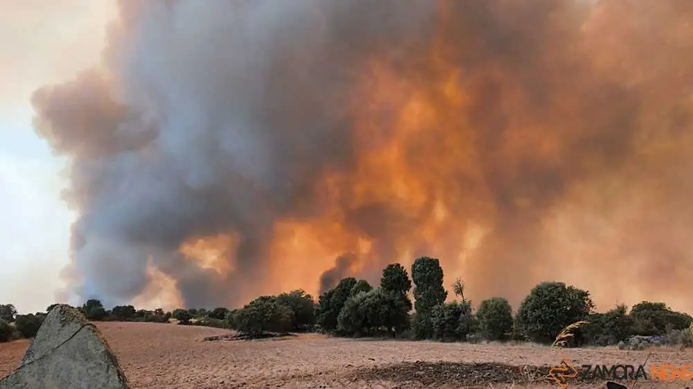 FERMOSELLE FUEGO SAYAGO _34