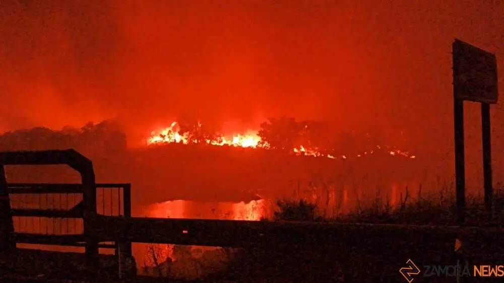 FERMOSELLE FUEGO SAYAGO _32