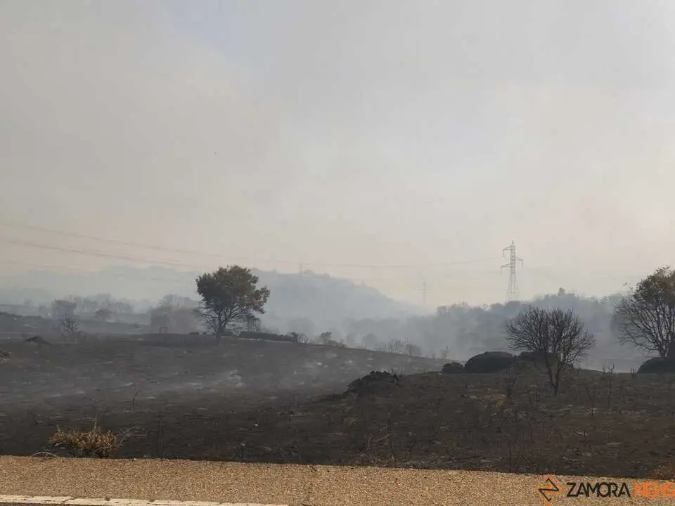 FERMOSELLE FUEGO SAYAGO _36