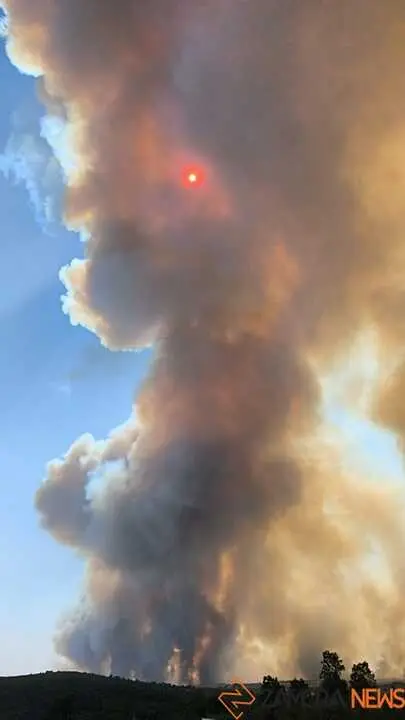 FERMOSELLE FUEGO SAYAGO _38