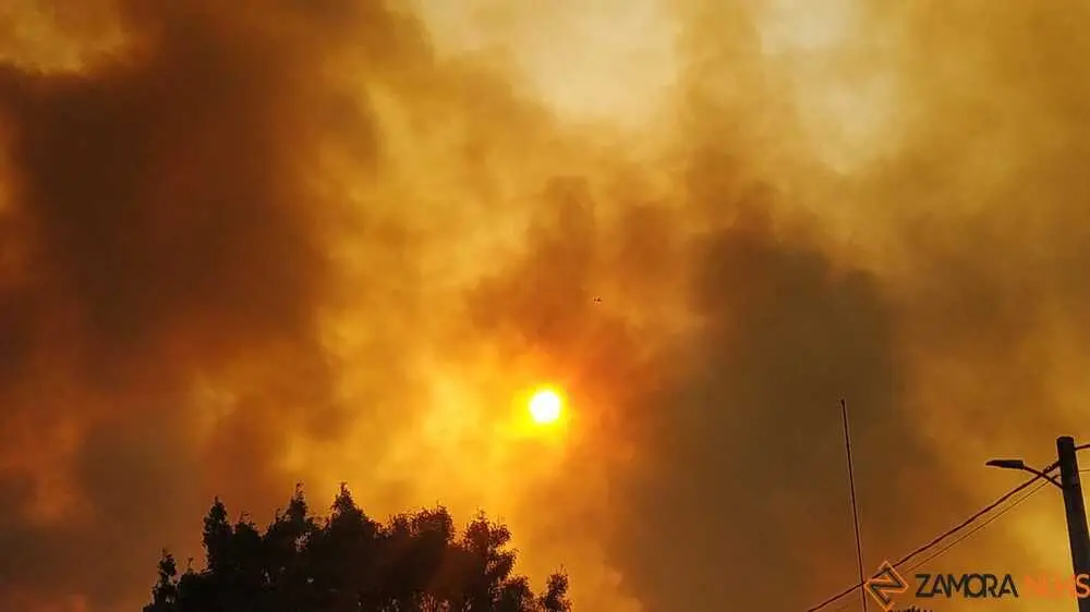 FERMOSELLE FUEGO SAYAGO _40