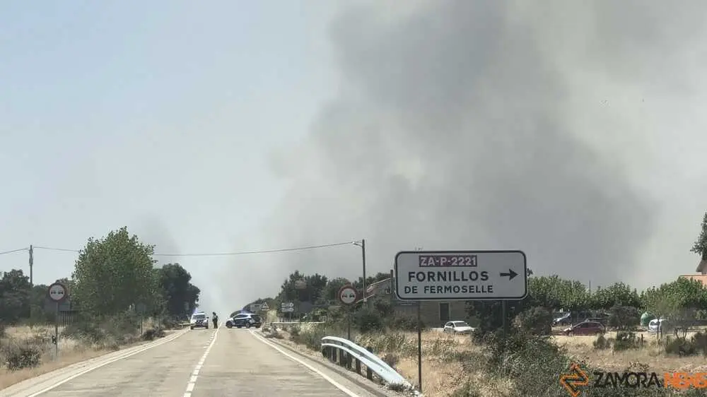 FERMOSELLE FUEGO SAYAGO _42