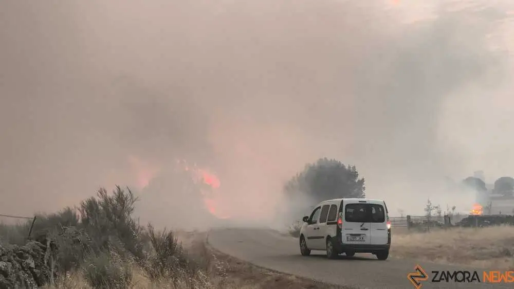 FERMOSELLE FUEGO SAYAGO _45