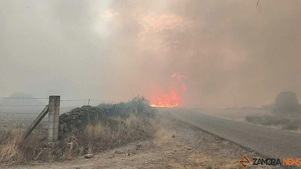 FERMOSELLE FUEGO SAYAGO _46