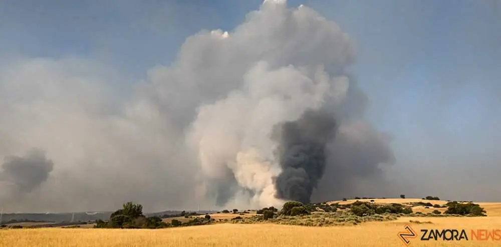 FERMOSELLE FUEGO SAYAGO _53