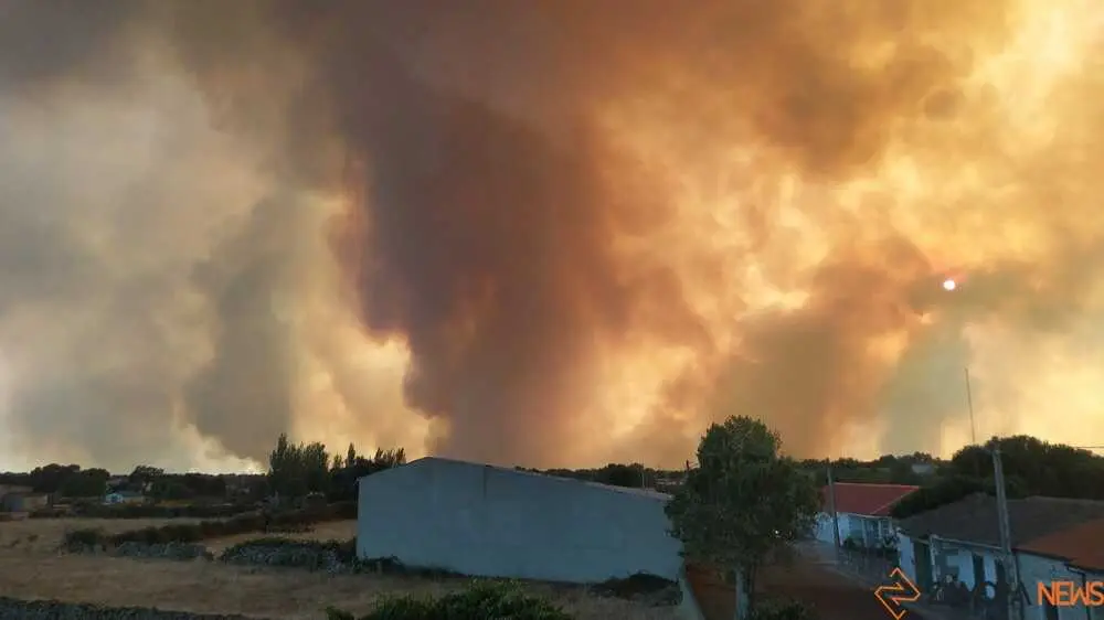 FERMOSELLE FUEGO SAYAGO _54