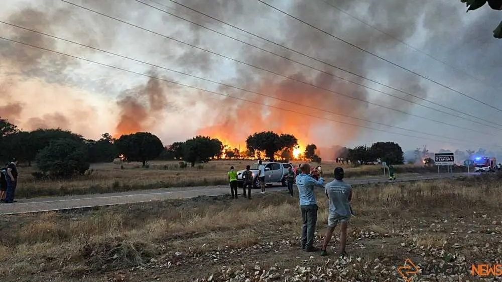 FERMOSELLE FUEGO SAYAGO _57